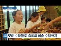 nbs미니인터뷰 농촌의 미래 사회적 농업 최미순 1004치유농장 대표