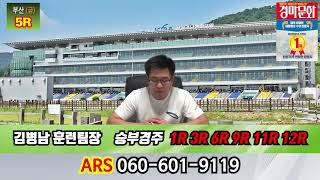 20190906 부산사나이 김병남 금요일 경마예상방송