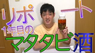 1年目のマタタビ酒を試飲しました!!