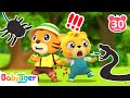 What's In The Jungle?| Animals For Kids + More Animal Songs & Nursery Rhymes - BabyTiger