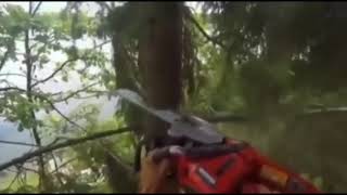 shitposting (warning: earrape)