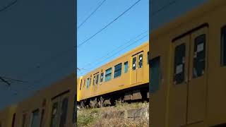 今朝の鉄道　列車　福塩線　105系４両編成の末期色列車　黄色い列車　福山駅→府中駅行