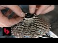 How to Remove and Replace a Cassette - BikeExchange Workshop Series