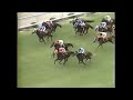 第１７回　京都大賞典　メジロカーラ　牝３　53　田原成貴　1982.10.10　　出走馬：カズシゲ、サニーシプレー、ロングワーズ 、ロングミラー、ニシノチェニル、キングスポイント、オーバーレインボー他