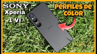 PRUEBO TODOS LOS PERFILES DE COLOR en el SONY XPERIA 1 VI - Natural, intenso, película, s-cinetone🔝💥