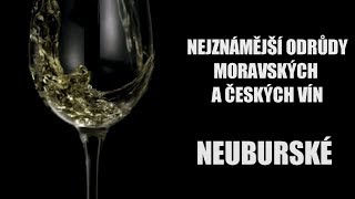 Odrůdy našich vín - Neuburské