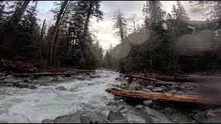 Miller River - Lower West Fork Miller to Miller River - Boat Scout