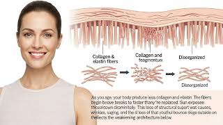 How Your Skin Actually Works? The Complete Guide to Your Body's Largest Organ