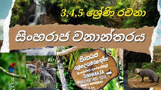 සිංහරාජ වනාන්තරය | 3,4,5 ශ්‍රේණි පෙරහුරු රචනා | Sinharaja forest | essays for grade 3,4,5