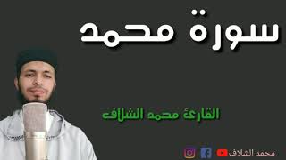 #محمد_الشلاف #chellaf_mohamed سورة محمد، برواية ورش عن نافع من طريق الأصبهاني