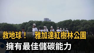 救地球！　雅加達紅樹林公園　擁有最佳儲碳能力－民視新聞