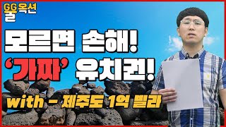 [꿀옥션] 제주도 1억짜리 신축빌라! 아는사람만 걱정없이 살 수 있는 방법?!