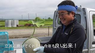 北竜メロン生産組合（北海道北竜町）