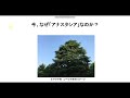 なぜ今「アナスタシア」なのか？2 6