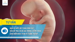 Bạn có biết: Bộ phận sinh dục của bé trai và bé gái trông giống nhau cho đến khi thai 9 tuần tuổi?
