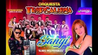 Almas Inseparables  Sanyi feat Orquesta Tropicalisima