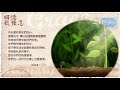 錫安教會靈修系列：栽在溪水旁 200730