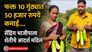 फक्त 10 गुंठ्यात 50 हजार रुपये कमाई, सेंद्रिय भाजीपाला शेतीचे आदर्श माॅडेल | organic farming