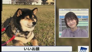 🐕お犬さんみーちゃん【戸北美月】2022年4月8日