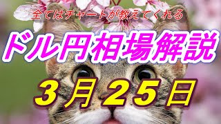 【FX】ドル円為替相場の予想と前日の動きをチャートから解説。日経平均、NYダウ、金チャートも。3月25日