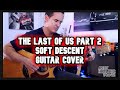 The Last Of Us Part 2 Soft Descent Guitar cover