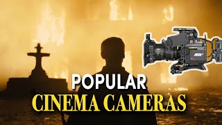 The Most Popular Cinema Cameras (Part 2): Arri, Red, Panavision, Sony