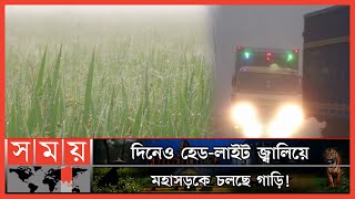 শীতের আগমনী বার্তা দিচ্ছে কুয়াশা আর শিশিরবিন্দু! | Winter in Thakurgaon | Thakurgaon News | Somoy TV