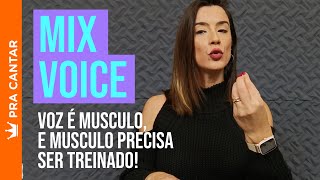 PRA CANTAR | Melhore seu Mix Voice com esses exercícios