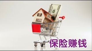 如何通过人寿保险赚钱？| Make Money through Life Insurance