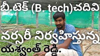 Nursery Maintenance|Vegitable Nursery|How to Maintance Nursery|Nursery Agriculture|నర్సరీ నిర్వహణ.