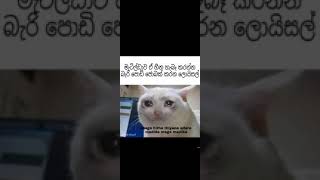 දියමන්ති මාලය meme .. part 1 ...11 ශ්‍රේණිය සිංහල