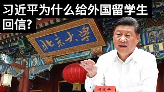 习近平为什么给外国留学生回信?(字幕)/王剑每日观察/20210622