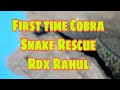 Cobra Snake ||First time Rescue In ||Rdx Rahul #