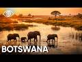 Botswana: Africa’s Last Garden of Eden – Travel Documentary - JV