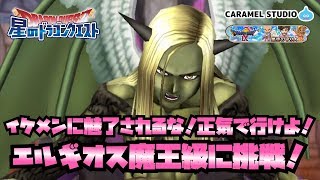 [星ドラ] バトスパラでエルギオス魔王級に挑戦