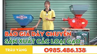 BÁO GIÁ DÂY CHUYỀN SẢN XUẤT CÁC LOẠI GẠO CHO HỘ KINH DOANH