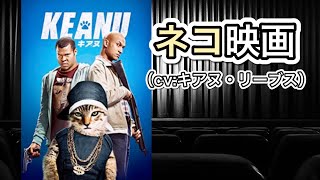 【映画紹介】あのキアヌ・リーブスが猫の声優を（一部シーンで）務めた、猫映画