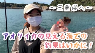 【片田漁港】アオリイカが釣りたくて遠征した結果…！