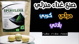 تحضير خلطة طعام لأسماك الكوبي ، المولي ، البلاتي... How to make food for your fish at home