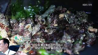 [통영 만지도]통영가볼만한곳 만지도와 연대도 출렁다리 [통영여행][KBS N잡러스타트업크리에이터] [통영펜션][통영맛집][연대도] 연명항만지도매표소