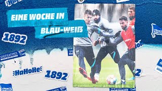 HaHoHe - Eine Woche in Blau-Weiß | 21. Spieltag | Hertha BSC vs. VfL Bochum