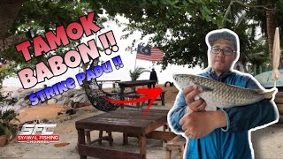 #VLOG11 : Ikan Tamok Babon Melaka | Tips & Teknik