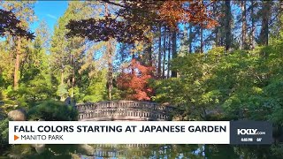 Fall colors starting at Japanese Garden in Manito Park