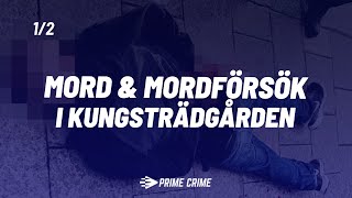 Mord och mordförsök i Kungsträdgården - Del 1/2