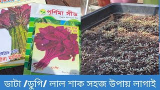 Amar Shokher Bagan 2021/ ডাটা/ ডুগি/ লাল শাক আমি কি ভাবে সহজ উপায় তাদের রোপণ করি /