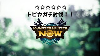 【モンハンNOW】星６トビカガチ討伐　ライトボウガン