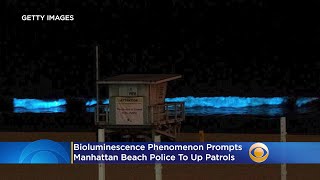Bioluminescence Phenomenon Prompts Manhattan Beach Police To Up Patrols