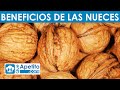 8 Propiedades y Beneficios de las Nueces | QueApetito