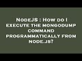 NodeJS : How do I execute the mongodump command programmatically from node.js?