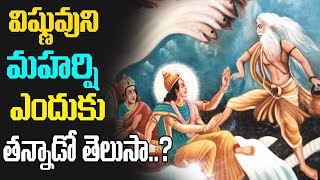 మహా విష్ణువు వక్ష స్థలం పైన తన్నిన భృగు మహర్షి | Sri Maha Vishnu Story | K-Mysteries